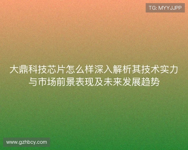 大鼎科技芯片怎么样深入解析其技术实力与市场前景表现及未来发展趋势